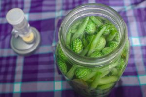 Właściwości produktów fermentacji
